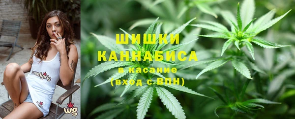 твердый Касимов