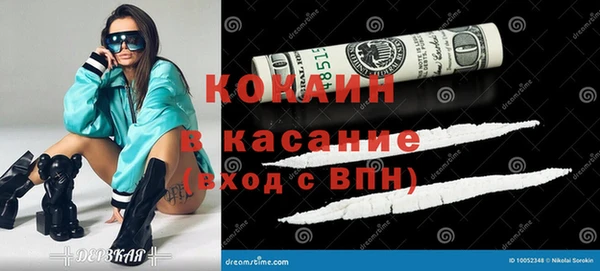 твердый Касимов