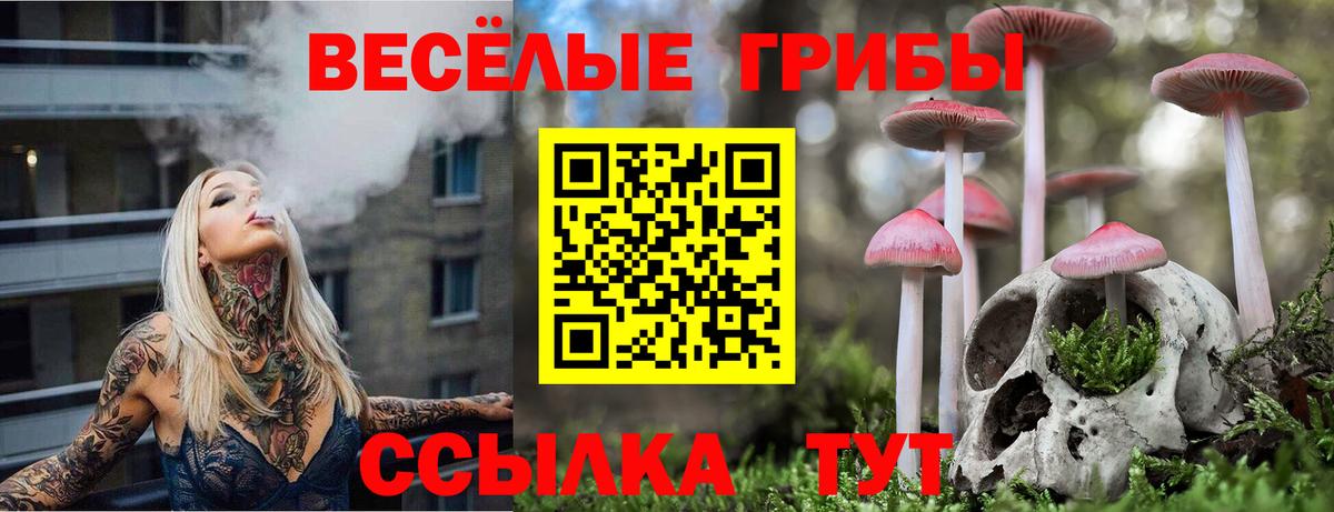 Псилоцибиновые грибы Psilocybe Лысьва