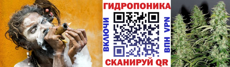 купить наркотики сайты  Лысьва  Каннабис ГИДРОПОН 